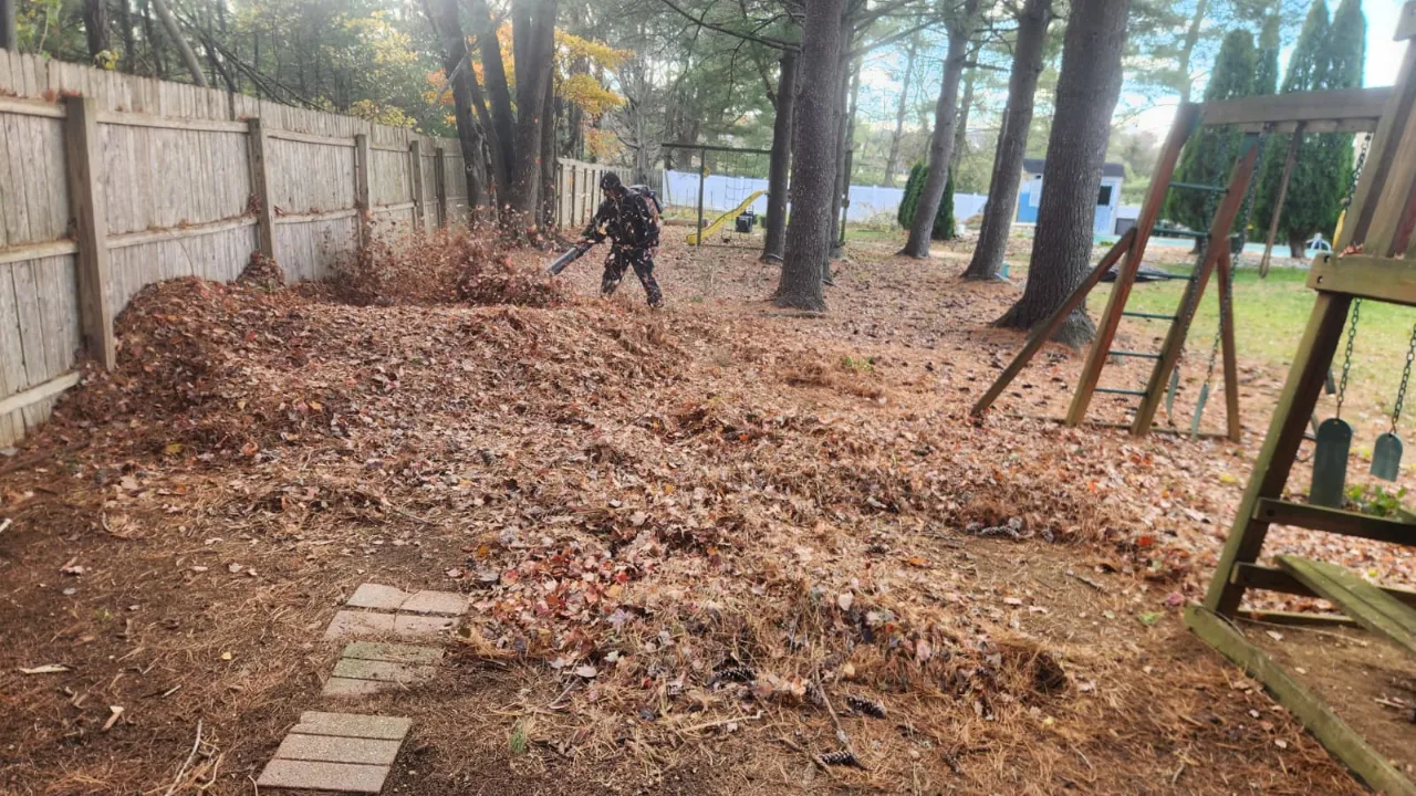 Mateo's Landscaping team working in a New Jersey yard