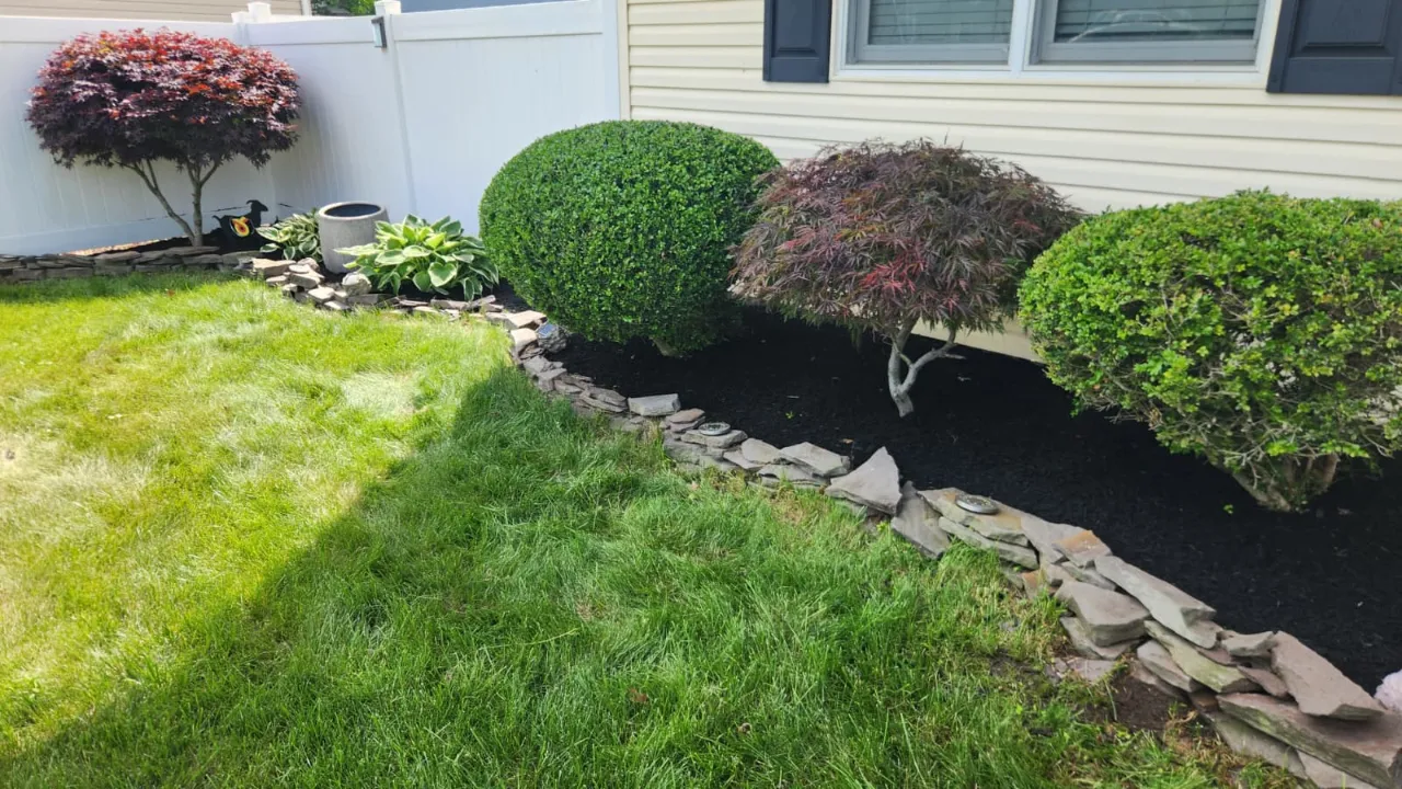 Freshly mowed lawn in New Jersey