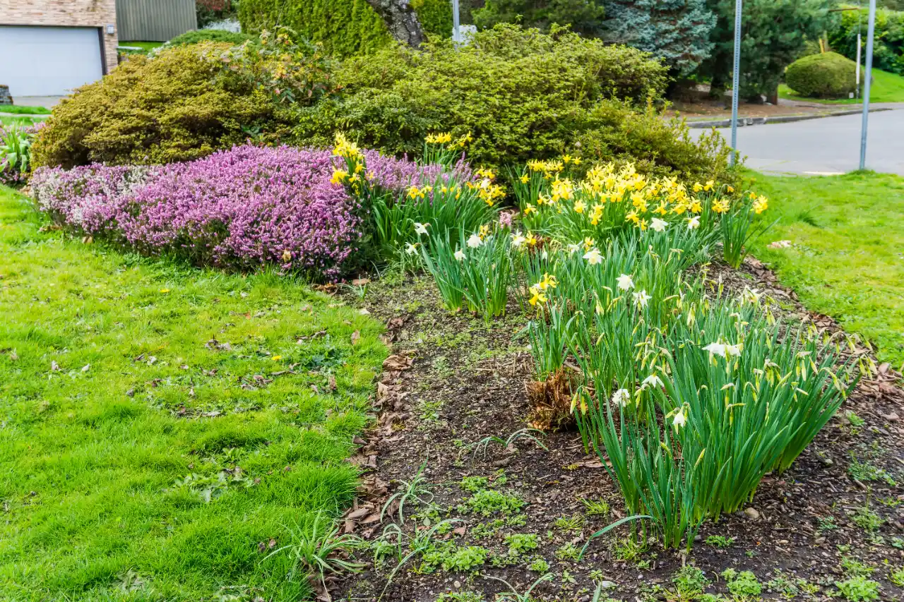 Public garden with landscaping maintenance