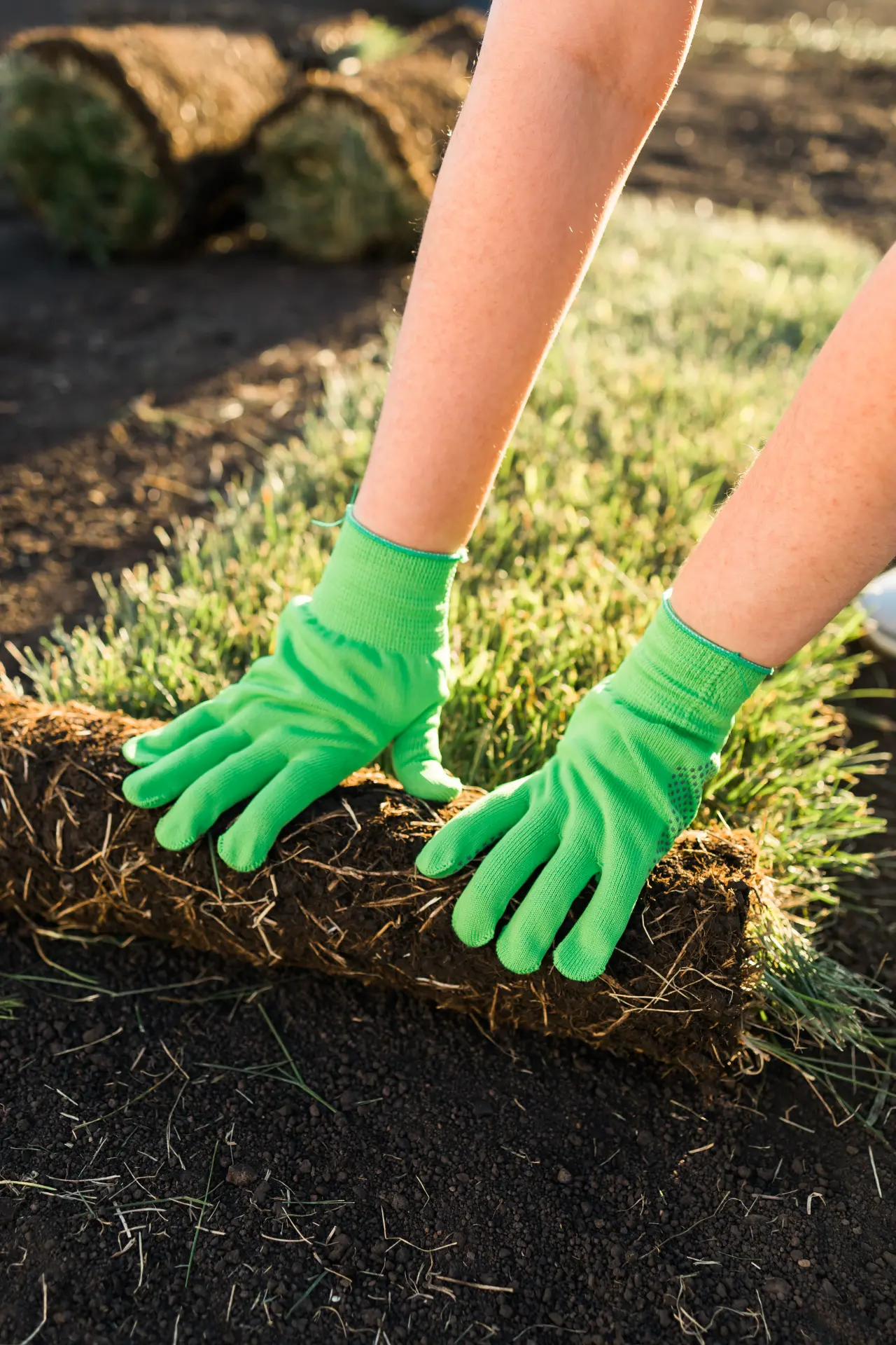 Close up of sod being laid for new lawn