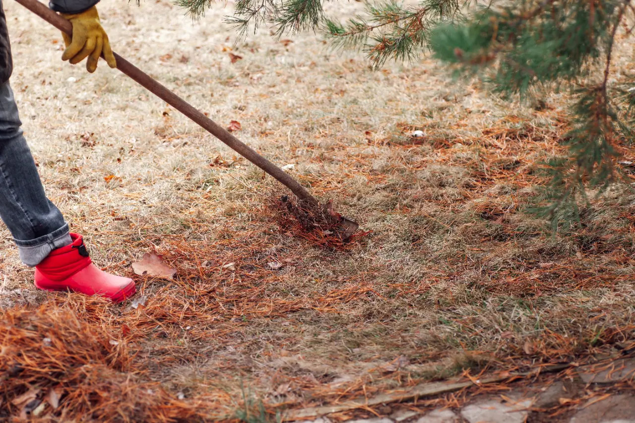 Debris collection during lawn cleanup in New Jersey