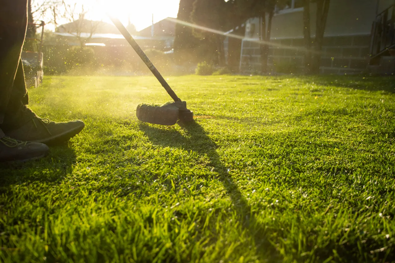 Lawn mowing in New Jersey