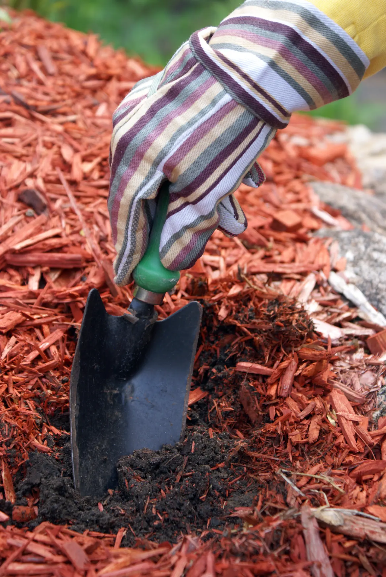 Tool breaking ground in red mulch bed