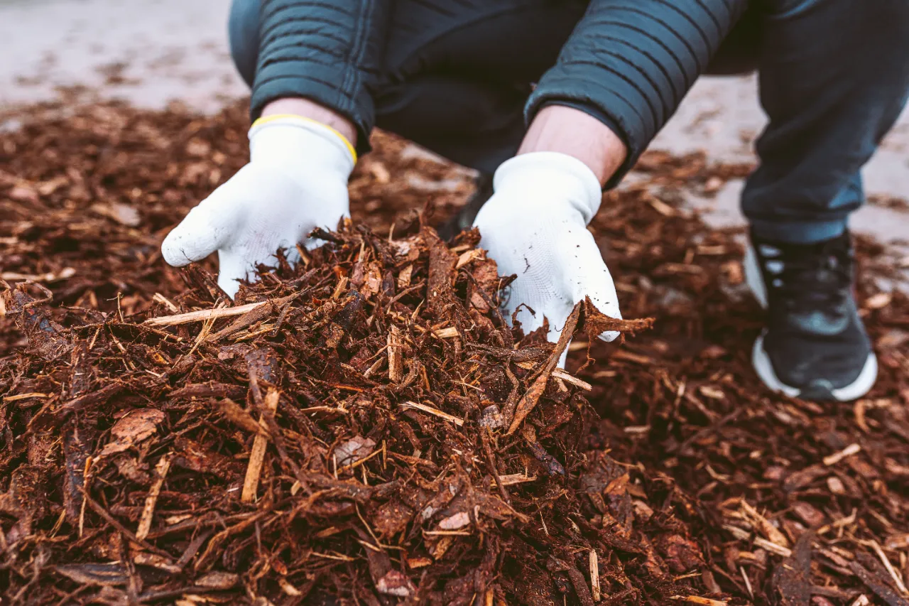 Mulch depth in garden beds