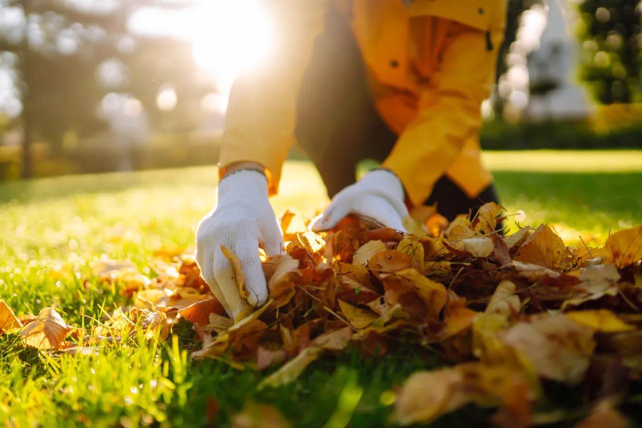 Fall leaf removal at a New Jersey property