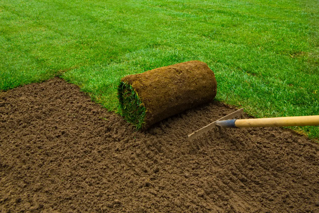 Maintained lawn and garden in New Jersey