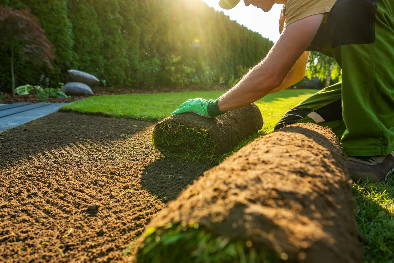 Sod installation on a sunny day in New Jersey