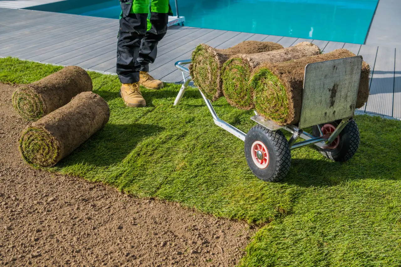 Laying turf in a backyard near a pool