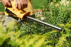 Why Foundation Bushes Damage Siding When Left Alone