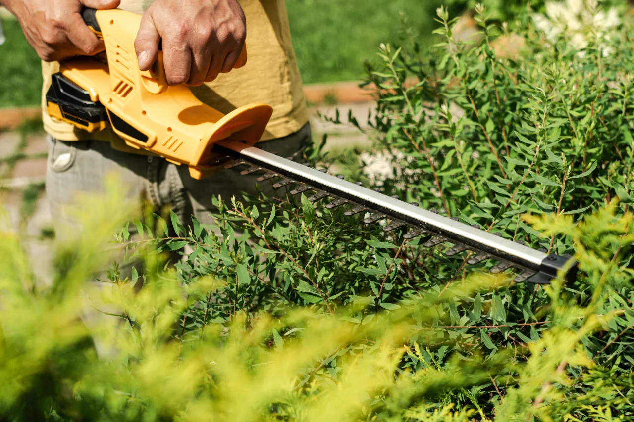 Hedge trimming with power trimmer in New Jersey