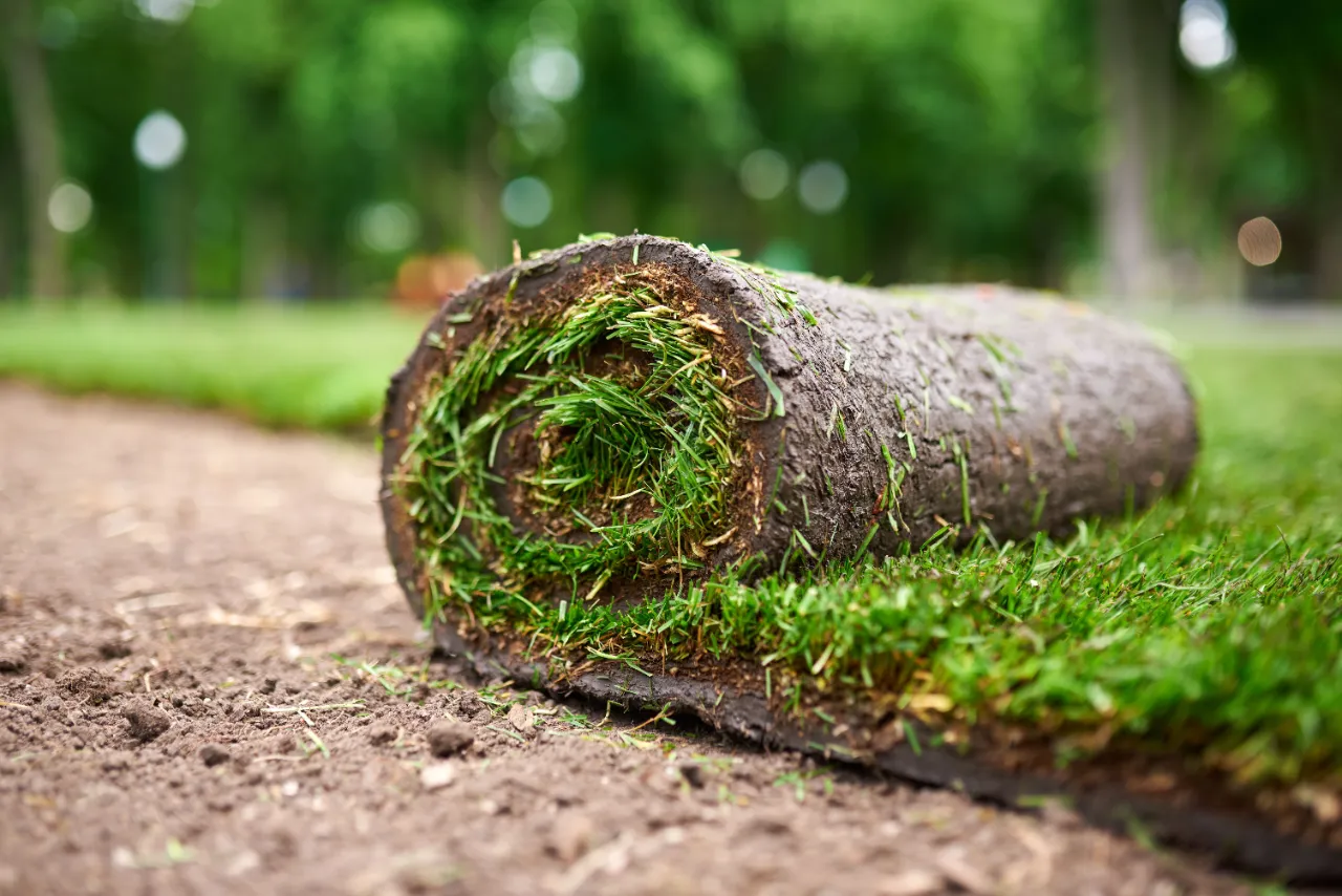 Roll of sod ready for installation in New Jersey