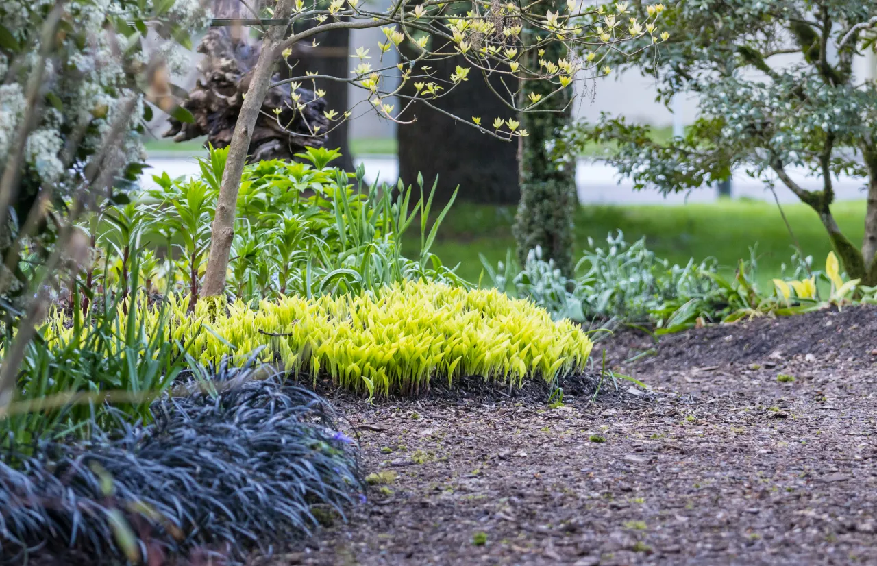 Landscaped spring garden in New Jersey