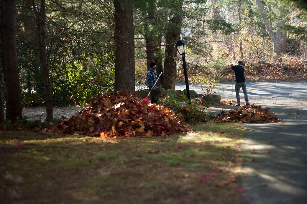 Crew raking autumn leaves at a New Jersey property